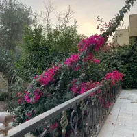 فرصتی فوق العاده برای رنگ کاران حرفه ای|استخدام درمانی، زیبایی، بهداشتی|یزد, |دیوار