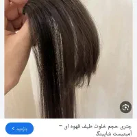 کلیپس موی چتری