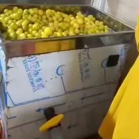 دستگاه تمام استیل آبلیمو آبغوره گیری|فروشگاه و مغازه|تهران, خواجه نظام الملک|دیوار