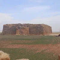 کلش گندم|لوازم جانبی حیوانات|بزینه رود, |دیوار