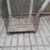 ۳ عدد قفس پرنده|لوازم جانبی حیوانات|اقبالیه, |دیوار