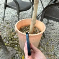 ایفون ۱۳|موبایل|تبریز, |دیوار