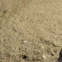 ارسال کوت حیوانی به سراسرکشور|خدمات باغبانی و درختکاری|زاغه, |دیوار