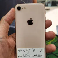 شیائومی note8 دنا همراه|موبایل|مشهد, سراب|دیوار