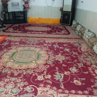 دوتا قالی دوازده متری نو|فرش|بندر گناوه, |دیوار