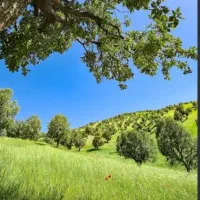 زمین کشاورزی