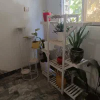 پایه گلدان