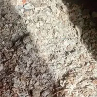 نان خشک تمیز بدون کپک نقدی