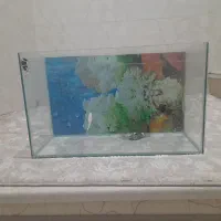 آکواریوم