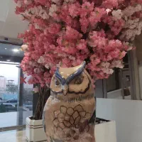 جغد سفالی نفیس قدیمی
