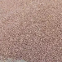 لوبیا چیتی|عمده‌فروشی|مرودشت, ژیان|دیوار