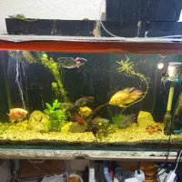 آکواریوم با تمام وسایل