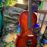 ویولن یاماها v3k چوب آبنوس