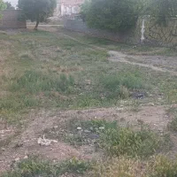 زمین فروشی|فروش زمین و ملک کلنگی|زنده رود, |دیوار