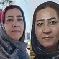 6 سال جوانسازی تکنولوژی سلول بنیادی