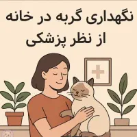 واگذاری گربه پرشین ماده