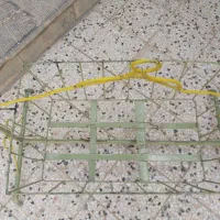 گهواره کودک