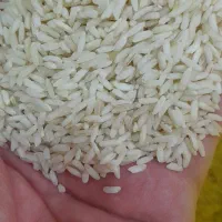 برنج عنبربو معطر          کالابرگ اصفهان کارت آزاد|خوردنی و آشامیدنی|اصفهان, رزمندگان|دیوار