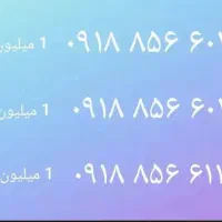 ۶۰۱۸ ۸۵۶ ۰۹۱۸
