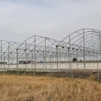 فروش سازه گلخانه صنعتی و مدرن نقد و اقساط|عمده‌فروشی|دهاقان, |دیوار