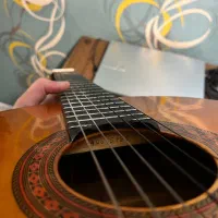 گیتار|گیتار، بیس، امپلیفایر|تهران, مخصوص|دیوار