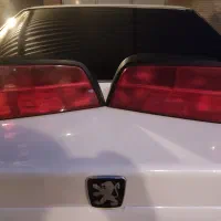 خطر عقب پارس