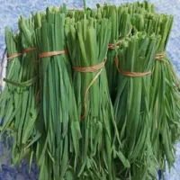 سبزی قرمه سبزی آماده|خوردنی و آشامیدنی|هشتگرد, گلسار|دیوار