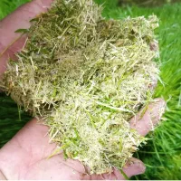 علوفه همیشه تازه مخلوط علوفه استثنایی