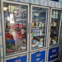 یخجال سه درب|فروشگاه و مغازه|تهران, شهرک دانشگاه|دیوار