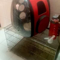 قفس و کیف مخصوص حیوان خانگی