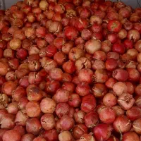 انار انار شکسته