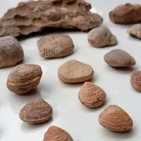 سنگهای قیمتی