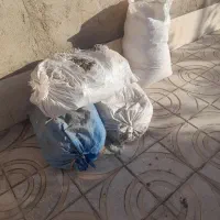 بار کفتر خشک چهار کیسه
