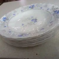 بشقاب ارکوپال