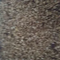 ترشی انار|حراج|اندیمشک, |دیوار