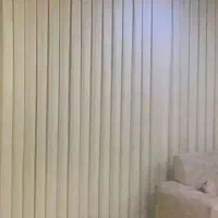 کرپ شاین نو نو