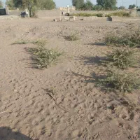 فروش-زمین