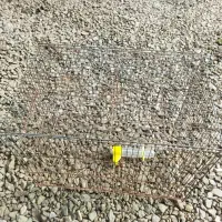 3عدد عروس هلندی سالم و سخنگو و رام همراه باوسایل|پرنده|کوچصفهان, |دیوار