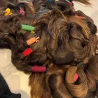 مو برمیدارم