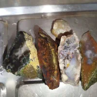 سنگ های شجر خوب|جواهرات|قزوین, |دیوار