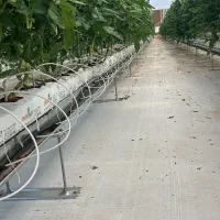 به چند خانم جهت کار در گلخانه