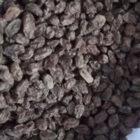 کشمش بی دانه بناب زوارک