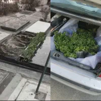 خدمات تخصصی سنگ قبر،مزار-تعمیر،رنگ،پولیش|خدمات پیشه و مهارت|باقرشهر, |دیوار