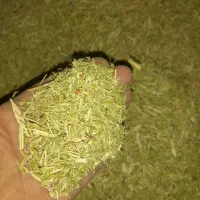 خار کوبیده گوسفندی