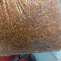 ریشه زعفران