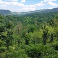 زمین بزرگ لاهیجان با خانه و باغ ویو ابدی|فروش زمین و ملک کلنگی|لاهیجان, کوه بیجار|دیوار