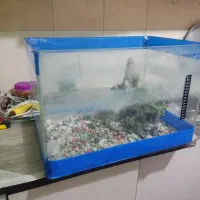 آکواریوم شیشه خم