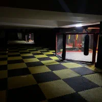 باشگاه تخصصی mma(ام ام ای)