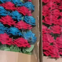 نیروی خانم مجردجهت کارگلسازی(مونتاژ) ودیزاین باکس