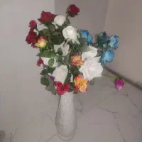 به دلیل کمبود جا میفروشم
